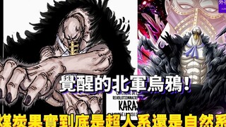 煤炭果实到底是超人系还是自然系？#673