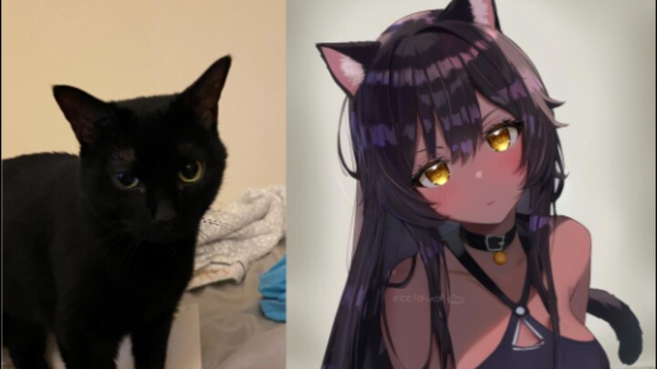 [Anthropomorphism] I’ve turned my cat into a human!