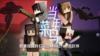 当年菜鸟-致曾经伴我们玩过Minecraft的伙伴