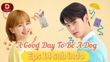 A.G.D.T.B.A.D episode 14 subtitle indonesia