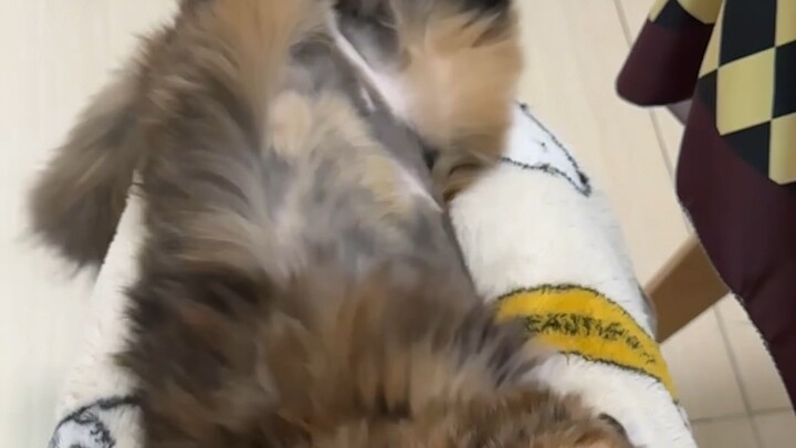 Mom... wait... wait a minute...