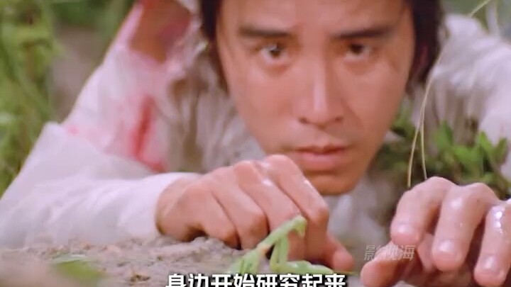 A young man was relentlessly harassed by a mantis, but unexpectedly领悟ed a set of martial arts techni