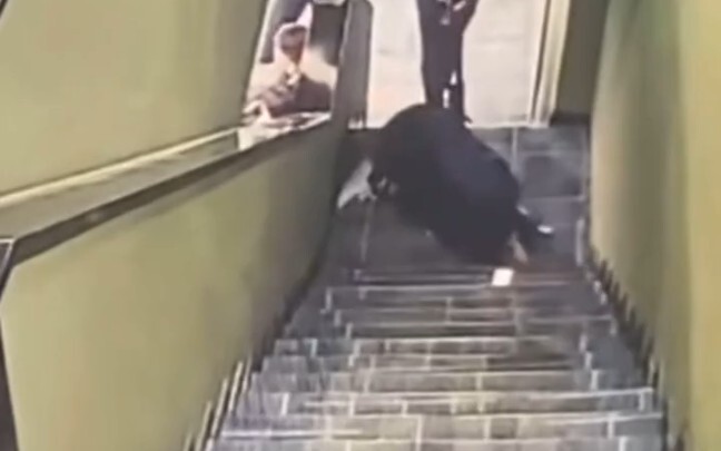 Rolling down the stairs is amazing
