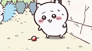 Kyoiikawa Episode 6 West City Dana Flying Squirrel Appears