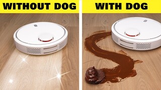 Cuộc Sống Khi Nuôi Cún vs Không Nuôi Cún