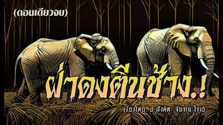 ฝ่าดงตีนช้าง.! (ตอนเดียวจบ)