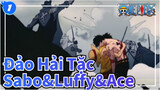 Đảo Hải Tặc|【Sabo】Để Luffy cho tôi, Ace_1