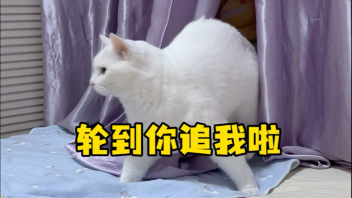 Có bạn bên cạnh, chẳng còn cô đơn nữa.