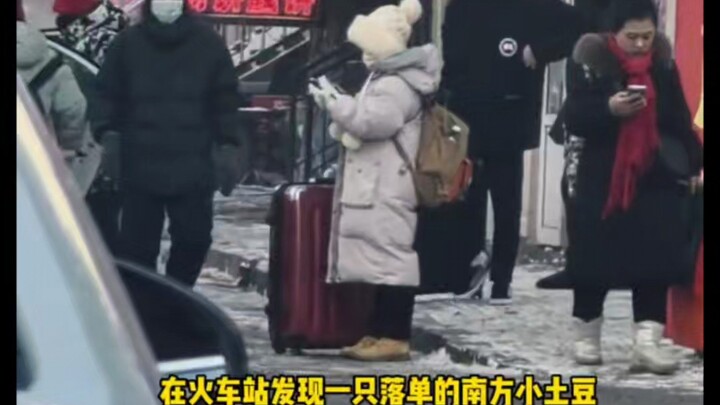 For the first time, I’ve seen Northeastern netizens getting so agitated in the comments they’re prac