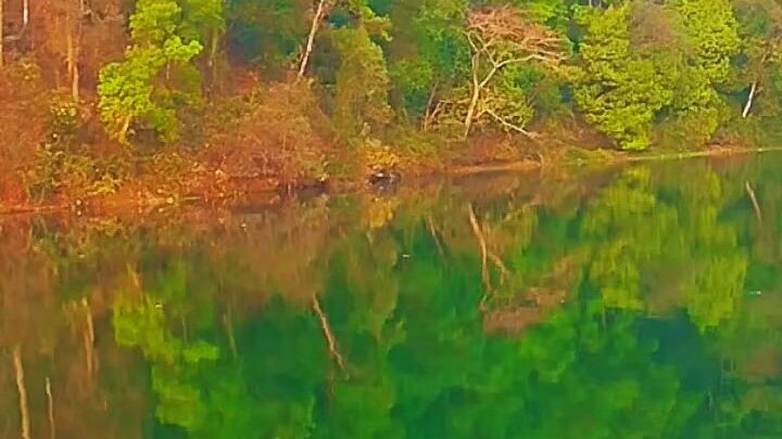 capture too my camera #onmyway