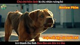 Khi chú chó Hiền Lành bị chủ nhân Ruồng Bỏ - Review phim Cuộc Nổi Dậy Của Loài Chó
