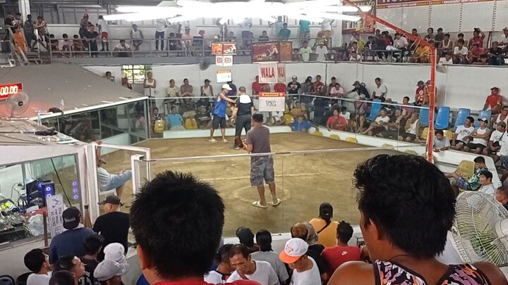 win big time kalaban👊
