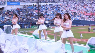 ภาพเชียร์ลีดเดอร์ของทีมแฝด lg ในการแสดงศิลปะ