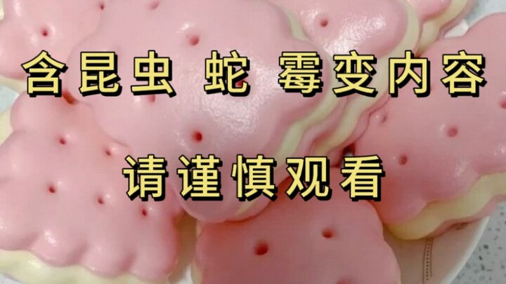 【Makanan Nuklir/Makhluk Nuklir】Episode paling tidak menggugah selera