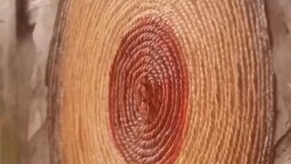 ทะลุมิติมาเป็นคุณหนูซ่งหมิงจู พากย์ไทย