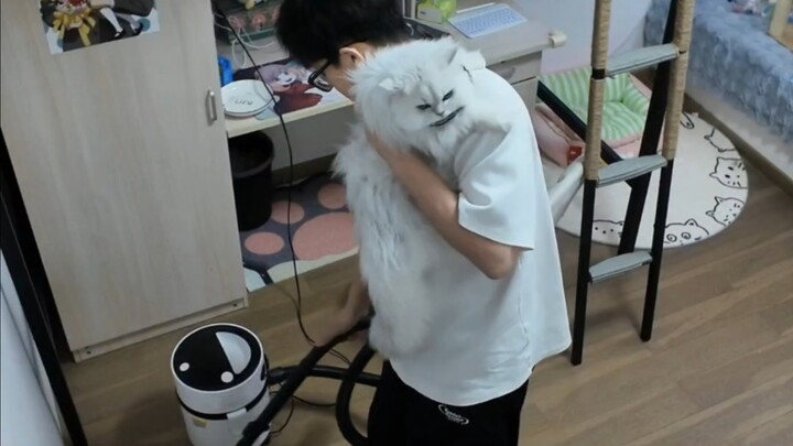 Kalau tinggal sendiri boleh sedikit malas, tapi kalau tinggal bersama kucing kecil nggak bisa!