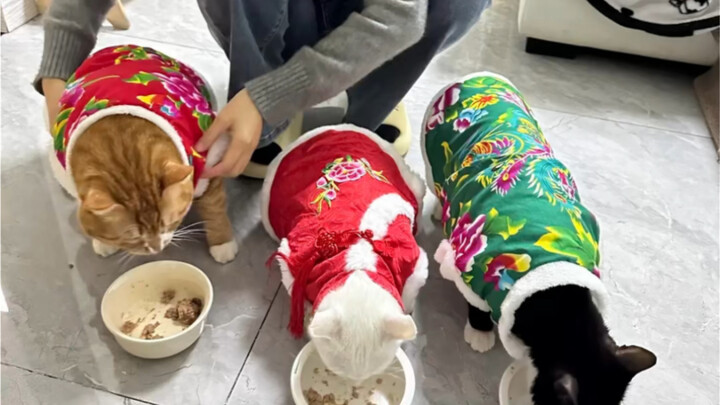 Sampai jumpa tahun depan～