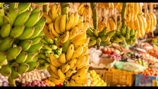 A To Z Documentary Video Of Kenya.