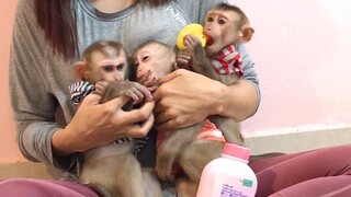 Mom making up and dress for the three monkeys