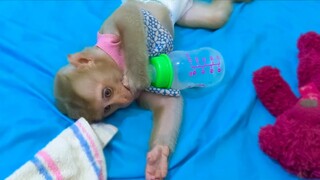 So cute little Yaya playing with the bottle waiting for Mom to comfort