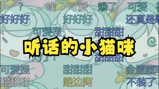 【恬豆】豆：小猫咪叫一个！小猫咪：我们一起学猫叫一起喵喵喵喵喵~😸好听话的小猫啊🤣