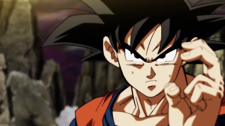 This cat has traveled across the universe, and no one has dared to keep it. But at this moment, he i