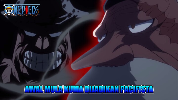 AWAL MULA KUMA DIJADIKAN PACIFISTA