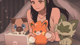 【宝可梦】一同观赏