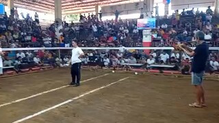 First fight DRAW TAAL 11-08-2025