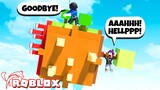 1st To Fall Off The Cube... IS A NOOB! (Roblox)