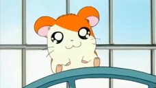 Hamtaro Episode 29 The Search for Dad's Glasses