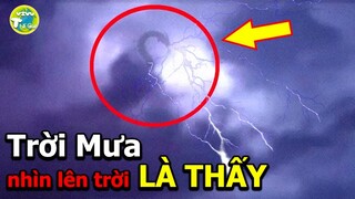 10 Sự Thật Về Loài Rồng Trên Thế Giới Nhưng Chưa Có Ai Biết Được Những Điều Này I Vivu Thế Giới