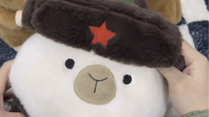 Lợn nước mặc áo khoác trông đáng yêu quá!