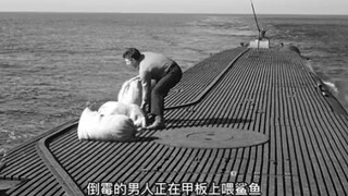 士兵在甲板上喂食鲨鱼，没想到敌军突然围攻而来
