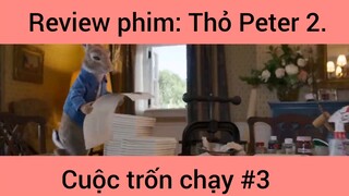 Review phim: Thỏ Peter Cuộc Trốn Chạy Phần 3