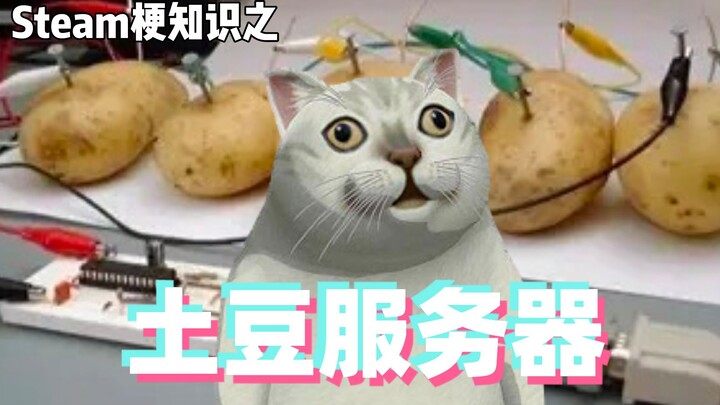 Gaming Memes 101: The Potato Server