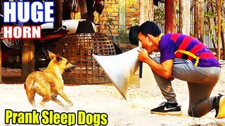 [Best Prank Video] Giant Horn Prank vs Sleeping Dogs - Very Funny Video