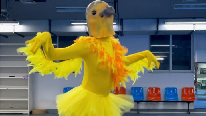 【Red Velvet】Mao Birdman can also dance "Feel My Rhythm"