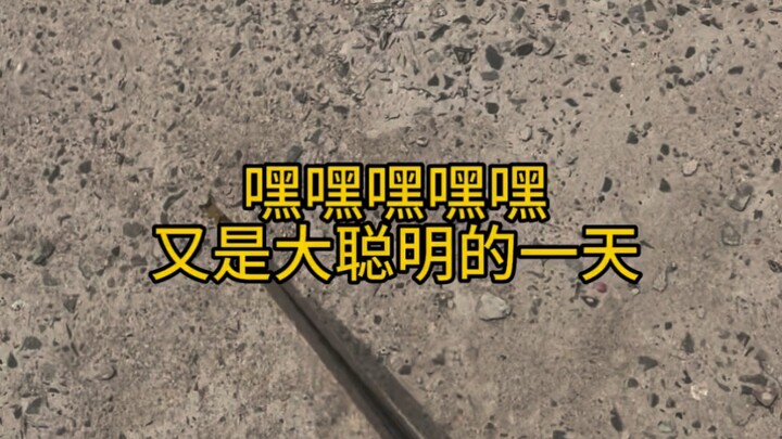 นำความรู้มาใช้จริง ฉันช่างฉลาดเหลือเกิน!