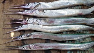 Cá Xanh Xương (cá nhái) chiên sốt cà ''Ăn Cơm trên Ghe'' | Ngư Dân Miền Tây