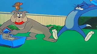 Cat and Mouse