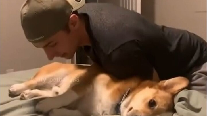 What a thoughtful dog! It knows its owner’s hooked on acting, so it patiently plays along. The dog’s