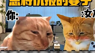 "Teater Meme Kucing" Ketika Anda memiliki istri yang membalas kebaikan dengan balas dendam!