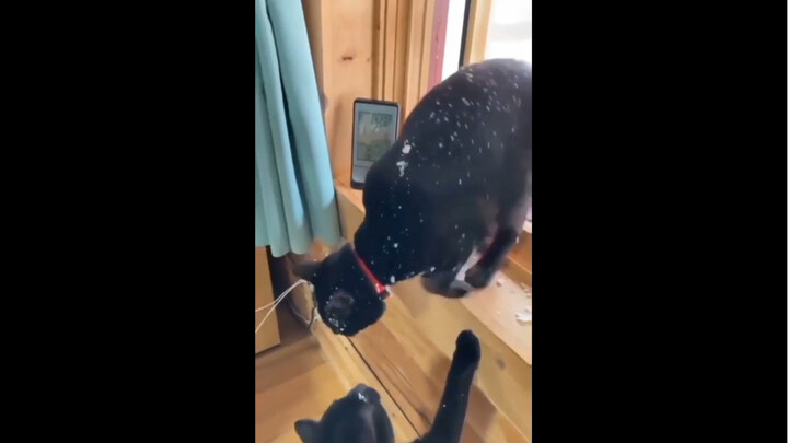 You ghost! Where were you last night?