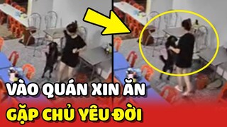 Chú chó 5 giờ sáng vô quán XIN ĂN gặp phải bà chị YÊU ĐỜI 😂 | Yêu Lu