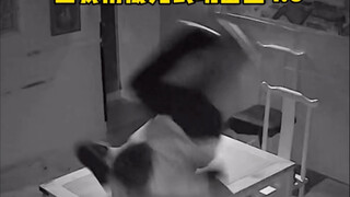 主打一个就是你追我跑