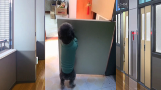 สัตว์ตลก_cut 61