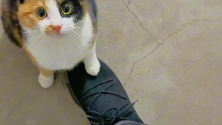 I know you're stubborn, but I'm no pushover either—so who ended up winning in the end?