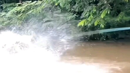 The second it’s hooked, I’ve already decided what to name the dish.