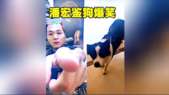 ⚡ จบแล้ว, บุญกุศลวันนี้หัวเราะจนหมดไปอีกแล้ว ⚡ ❶⓿